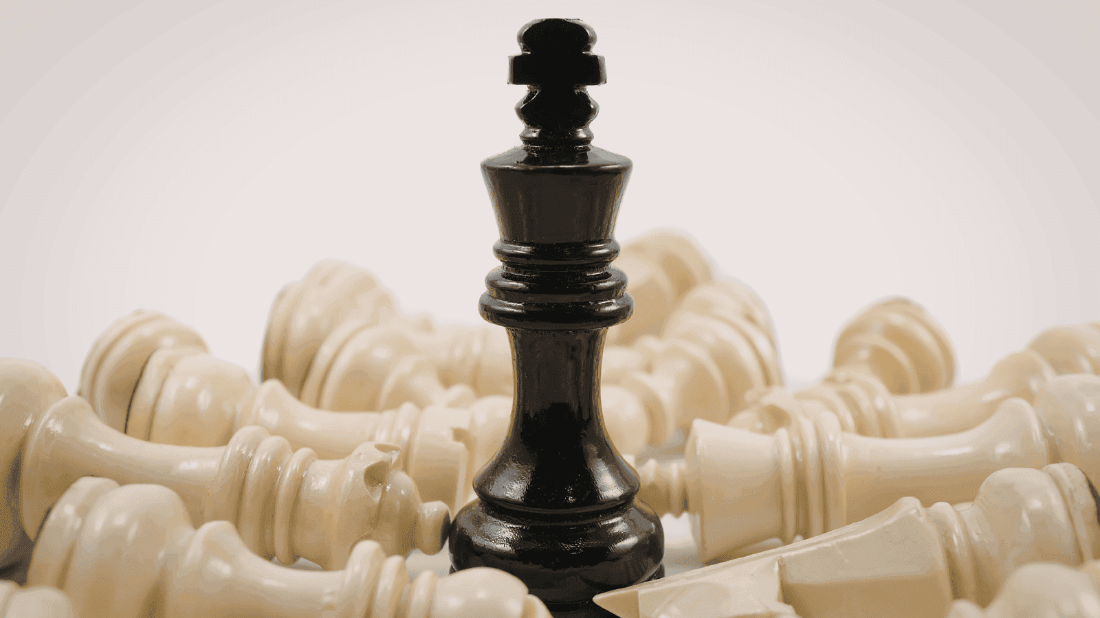 Website Design & Dev